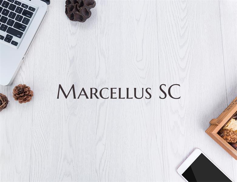 23款WEB設(shè)計(jì)師必備的英文字體下載