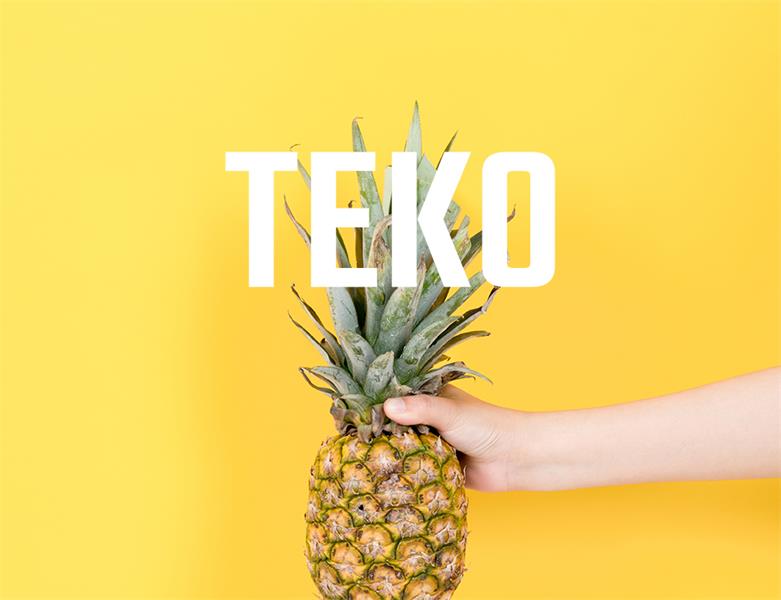 23款WEB設(shè)計(jì)師必備的英文字體下載