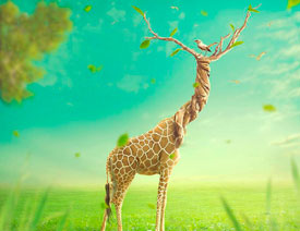 Photoshop�ϳ��L����������L�i¹��Ӣ��