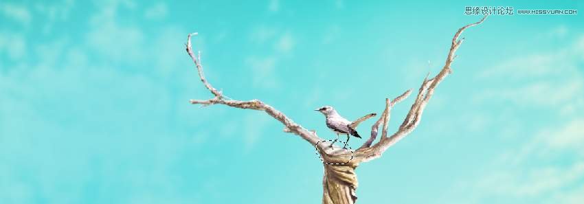 Photoshop合成長(zhǎng)著創(chuàng)意大樹(shù)的長(zhǎng)頸鹿【英】