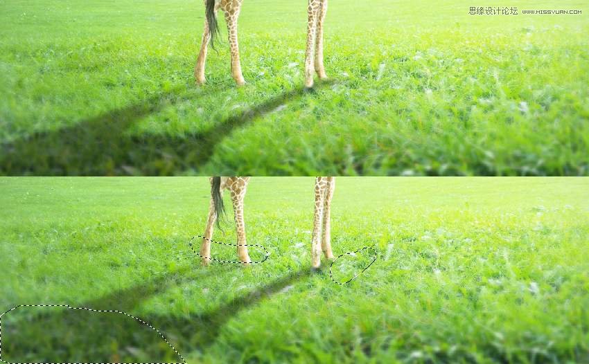 Photoshop合成長著創意大樹的長頸鹿【英】