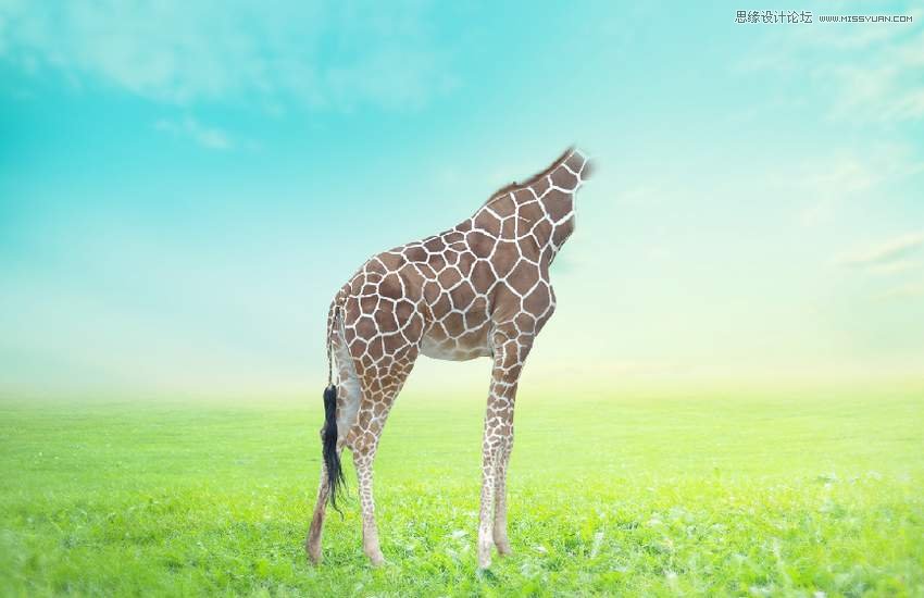 Photoshop合成長(zhǎng)著創(chuàng)意大樹的長(zhǎng)頸鹿【英】