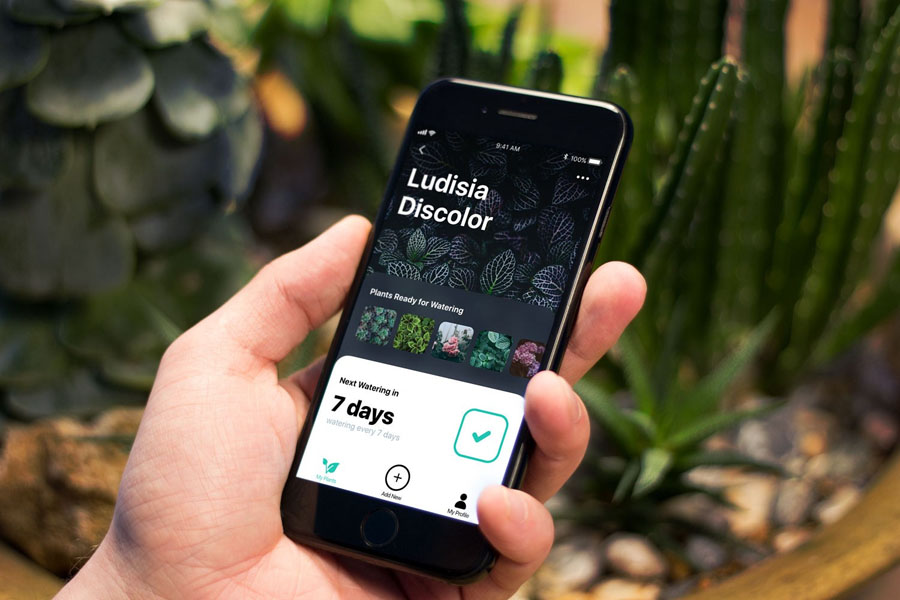 如何為用戶界面選擇合適的配色方案