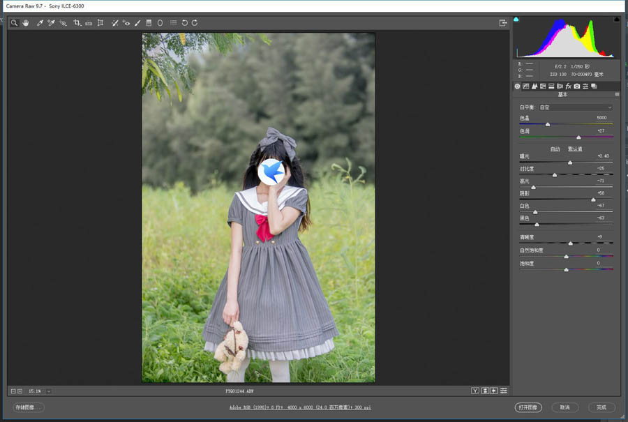 Photoshop調出外景人像淡雅清新藝術效果