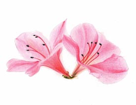 �L��Ψ���Ķ��N�����U�̳�