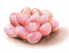 ���L������¶���U�L���̳�