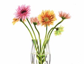 ���L����ƿ��Ψ���宋��Ʒ