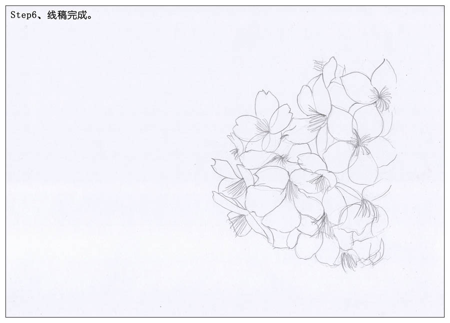 �L��ˮ���L��ęѻ���Ʒ