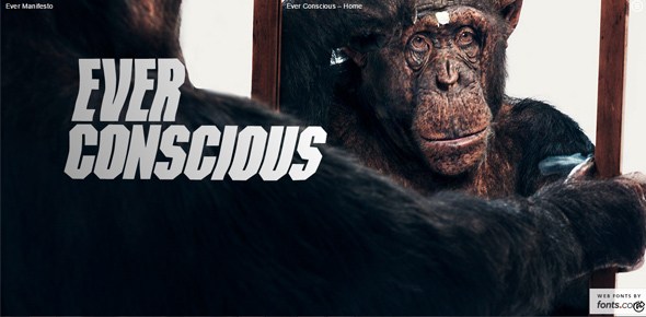 ���x�����s־�L��W��OӋ���p