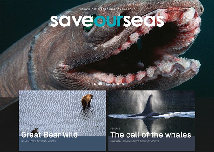 ���x�����s־�L��W��OӋ���p