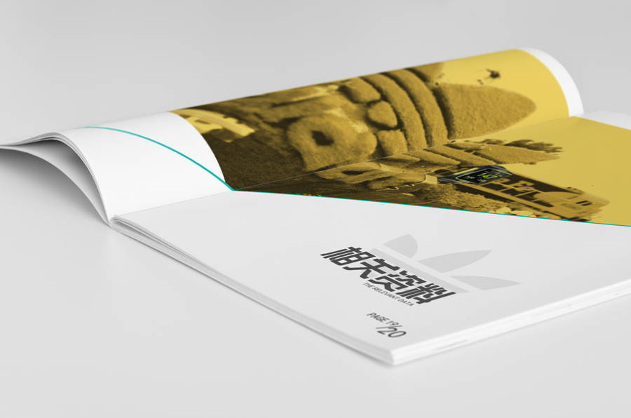 �����İ����_˹���������OӋ���p