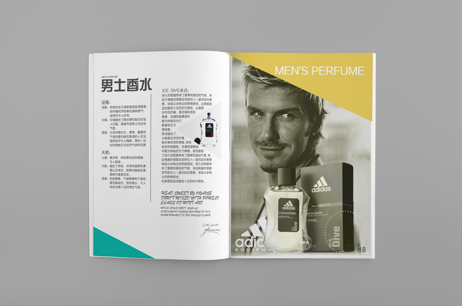 �����İ����_˹���������OӋ���p