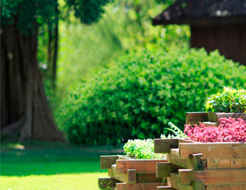 Photoshop����ȥ���L����Ƭ�в���Ҫ������