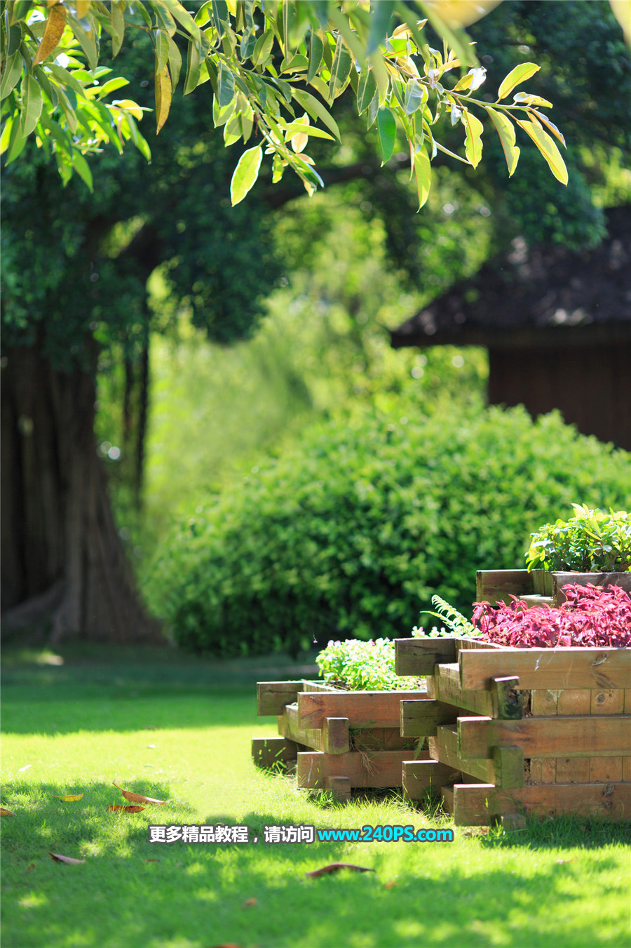 Photoshop����ȥ���L����Ƭ�в���Ҫ������