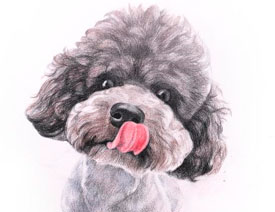 ��ɫ�U�P��̩֮����Ȯ�Į���