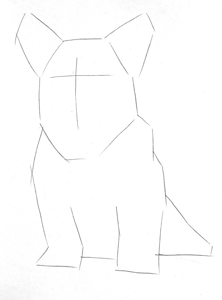 詳細解析彩色鉛筆畫柯基犬的畫法