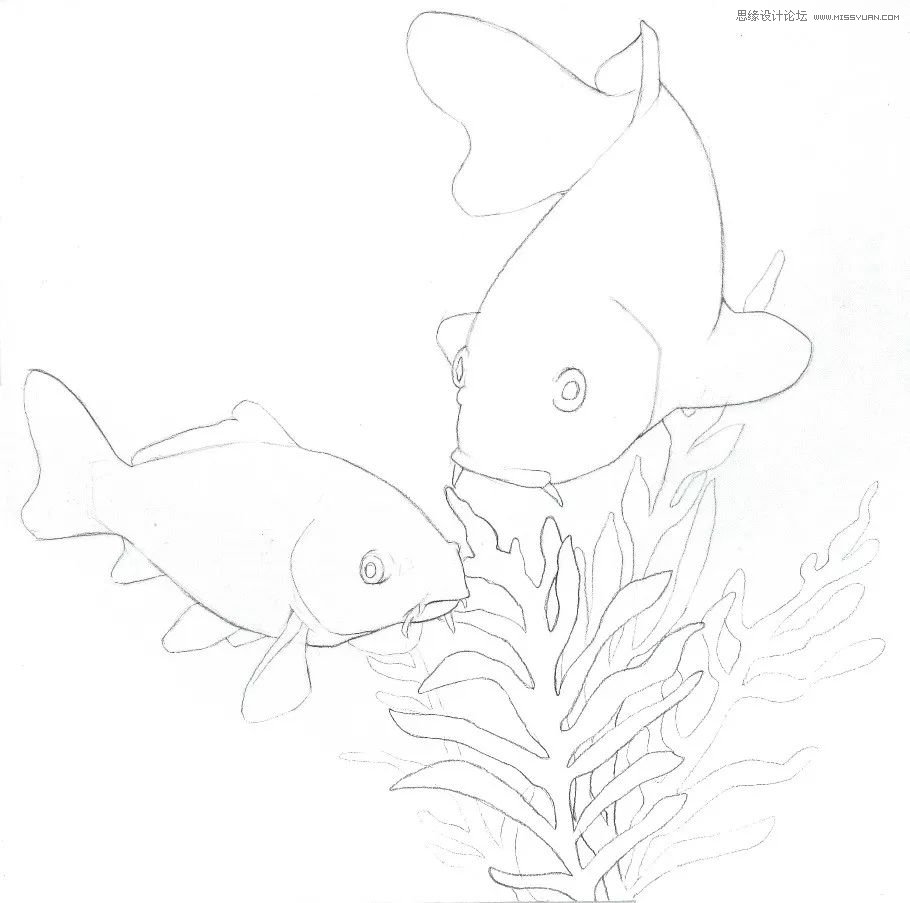 彩色鉛筆畫之幸運(yùn)錦鯉的畫法