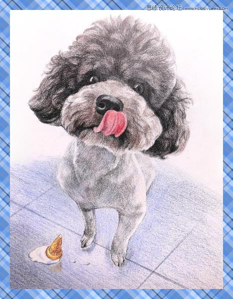 彩色鉛筆畫之泰迪熊犬的畫法