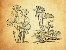 �Ї����y�ɻ��ͺ��~PS�Pˢ