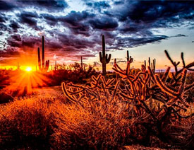 Ԕ�����������ں���̎���г�Ҋ���e�`