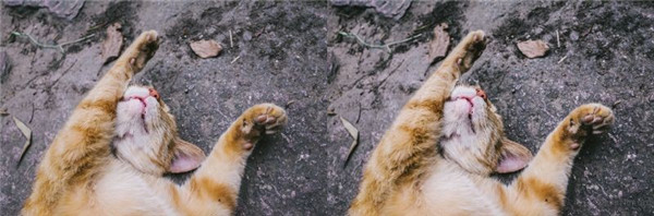 Ԕ�����������ں���̎���г�Ҋ���e�`