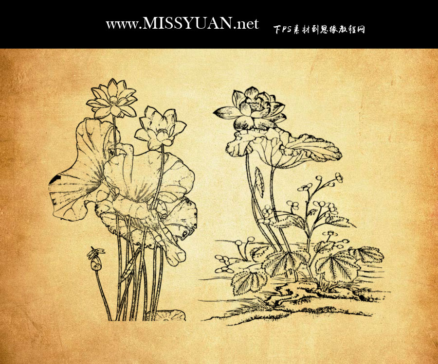 �Ї�(gu��)���y(t��ng)�ɻ��ͺ��~PS�Pˢ