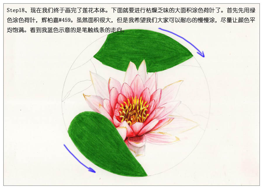 ��ɫ�U�P��֮�r�G�ɻ����~