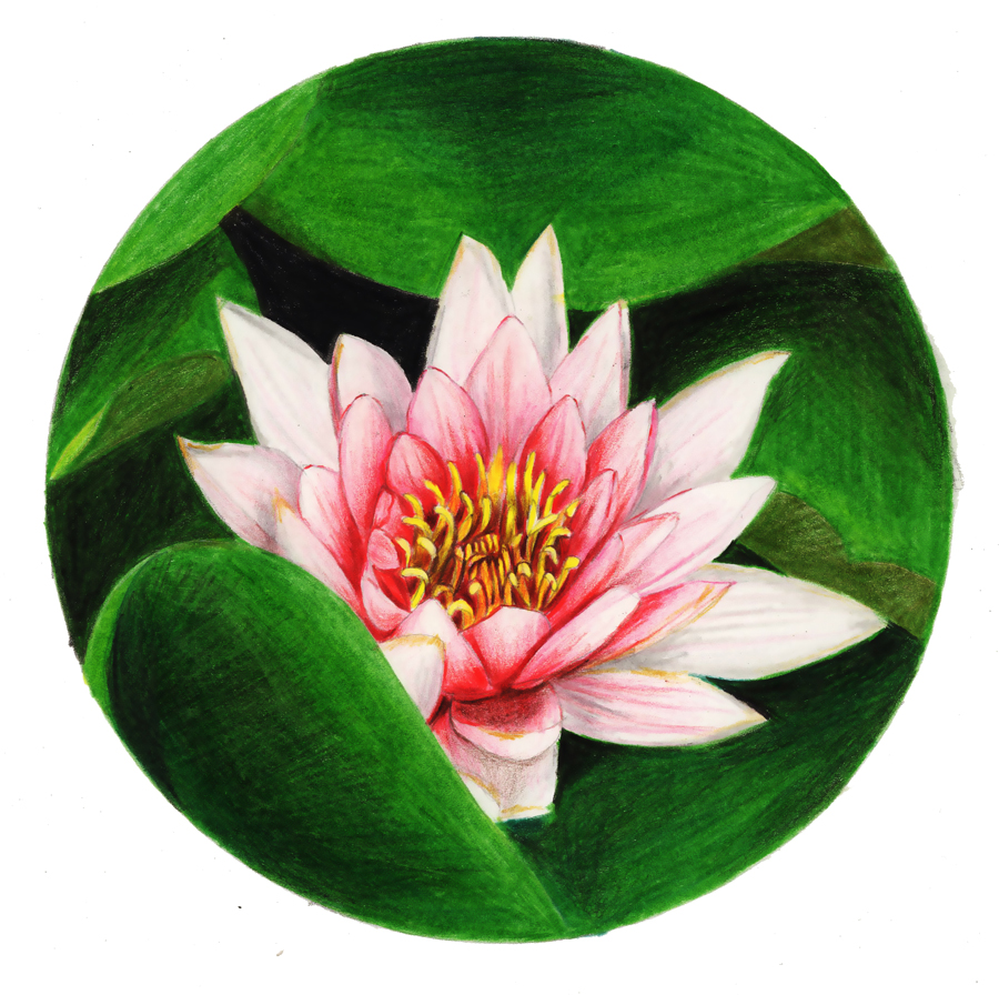 ��ɫ�U�P��֮�r�G�ɻ����~