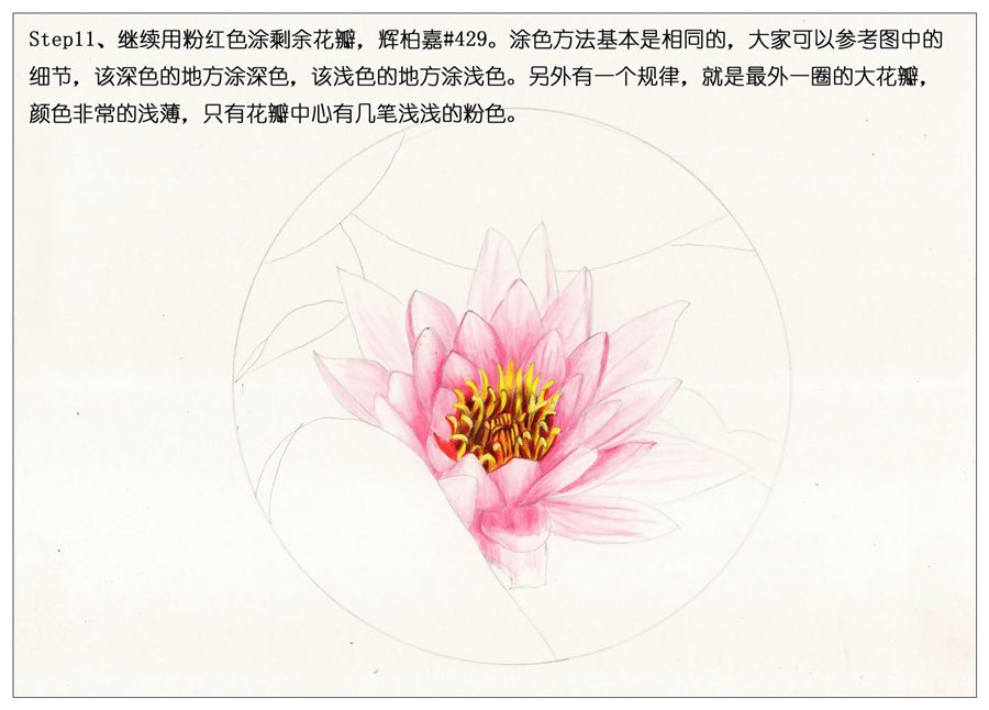 ��ɫ�U�P��֮�r�G�ɻ����~