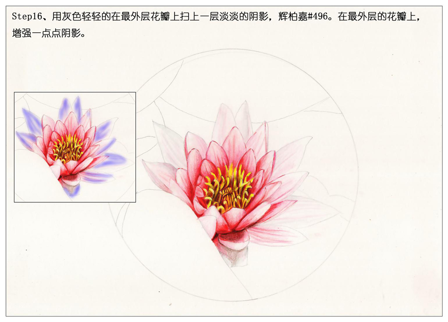 ��ɫ�U�P��֮�r�G�ɻ����~