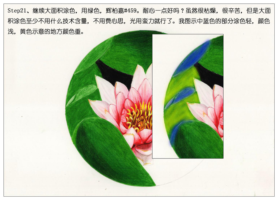 ��ɫ�U�P��֮�r�G�ɻ����~