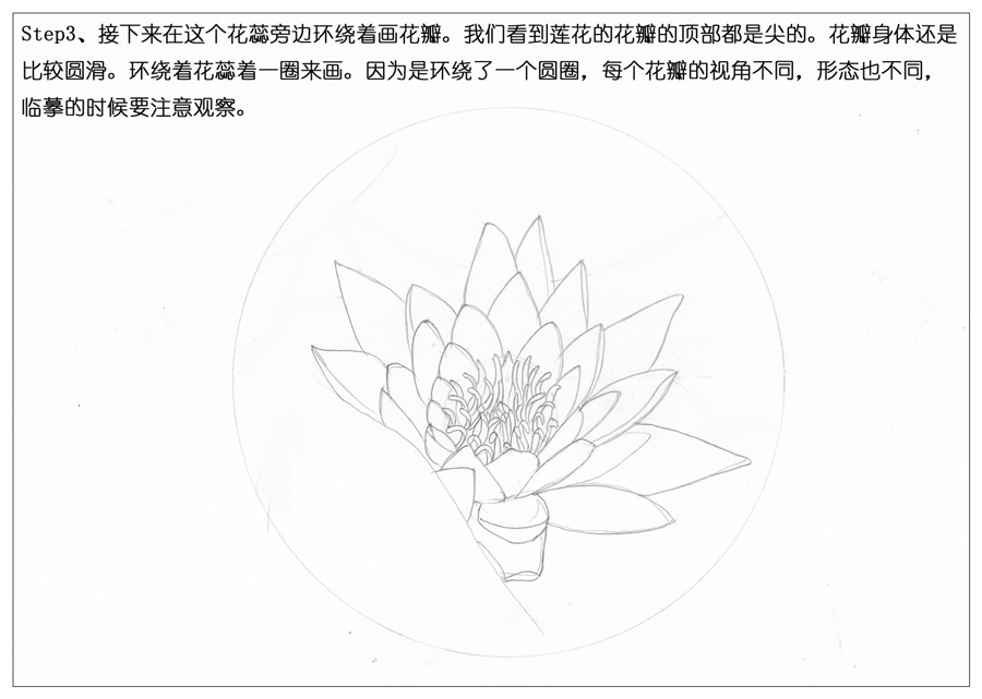 ��ɫ�U�P��֮�r�G�ɻ����~