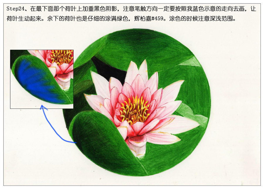 ��ɫ�U�P��֮�r�G�ɻ����~