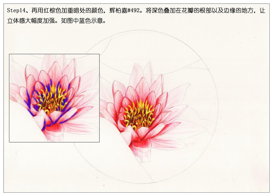 ��ɫ�U�P��֮�r�G�ɻ����~