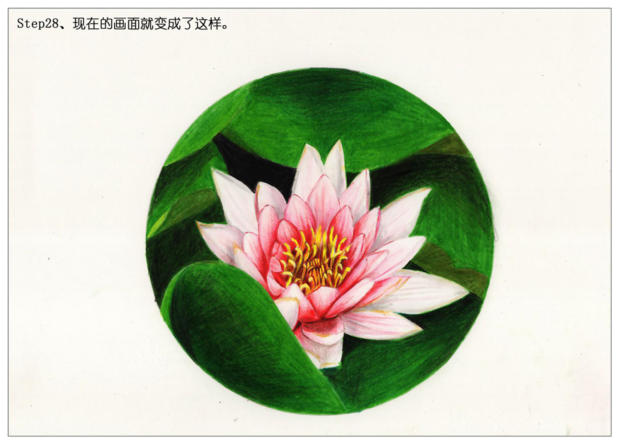 ��ɫ�U�P��֮�r�G�ɻ����~