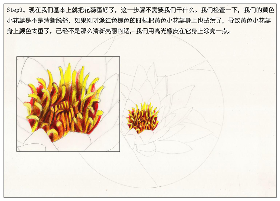 ��ɫ�U�P��֮�r�G�ɻ����~