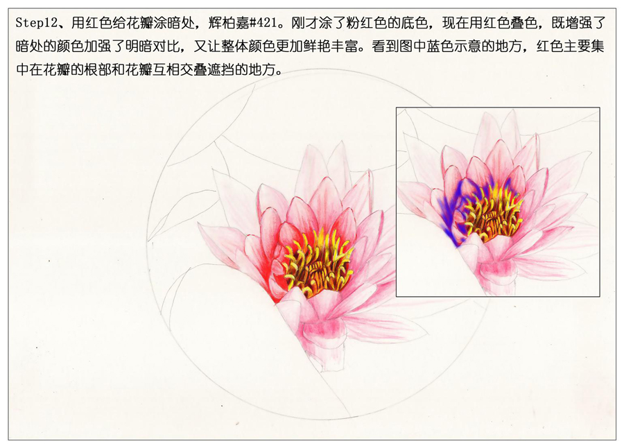 ��ɫ�U�P��֮�r�G�ɻ����~