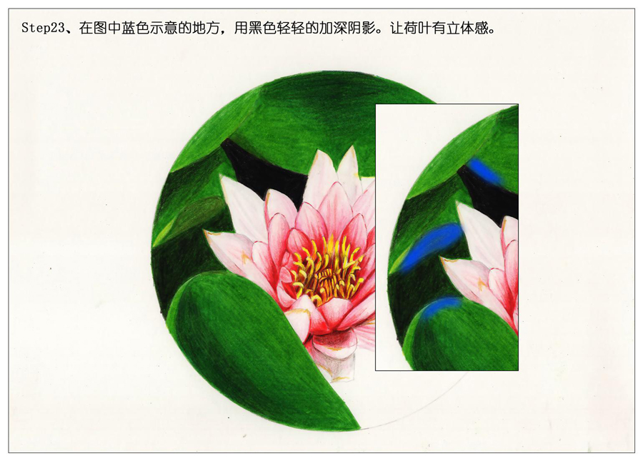 ��ɫ�U�P��֮�r�G�ɻ����~