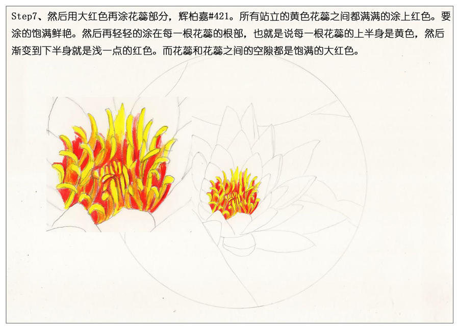 ��ɫ�U�P��֮�r�G�ɻ����~