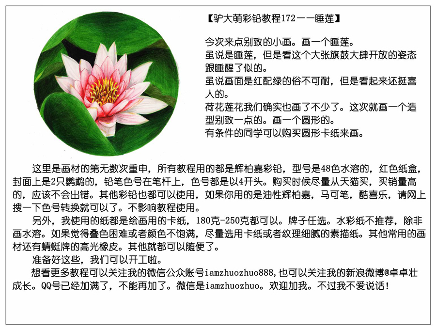 ��ɫ�U�P��֮�r�G�ɻ����~