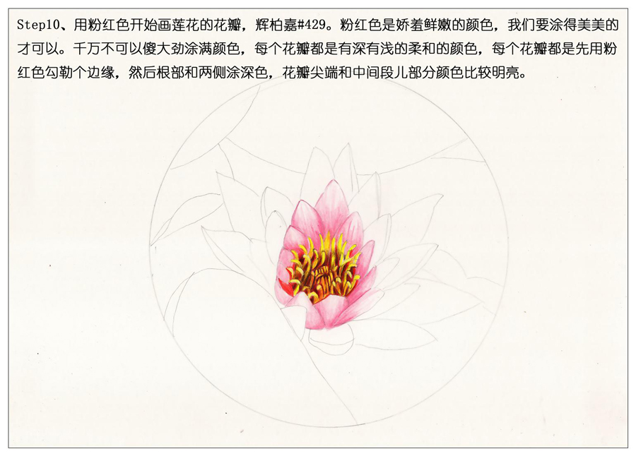 ��ɫ�U�P��֮�r�G�ɻ����~