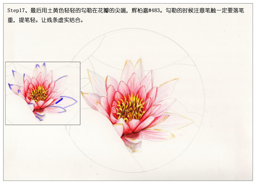 ��ɫ�U�P��֮�r�G�ɻ����~