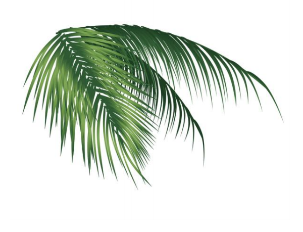 Photoshop�O(sh��)Ӌ(j��)��(ji��n)�s�L(f��ng)������κ���(b��o)��Ʒ