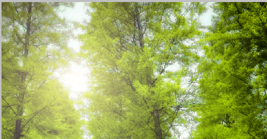 Photoshop調出婚紗外景春夏秋冬四季效果