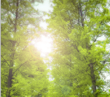 Photoshop調出婚紗外景春夏秋冬四季效果