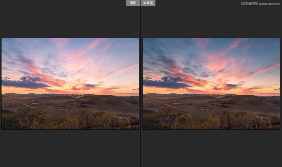 PhotoshopԔ��ACR�u׃�V�R�ں��ڵ�����