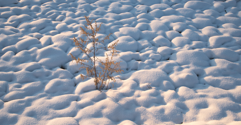 詳解如何在晴天里拍出大片效果