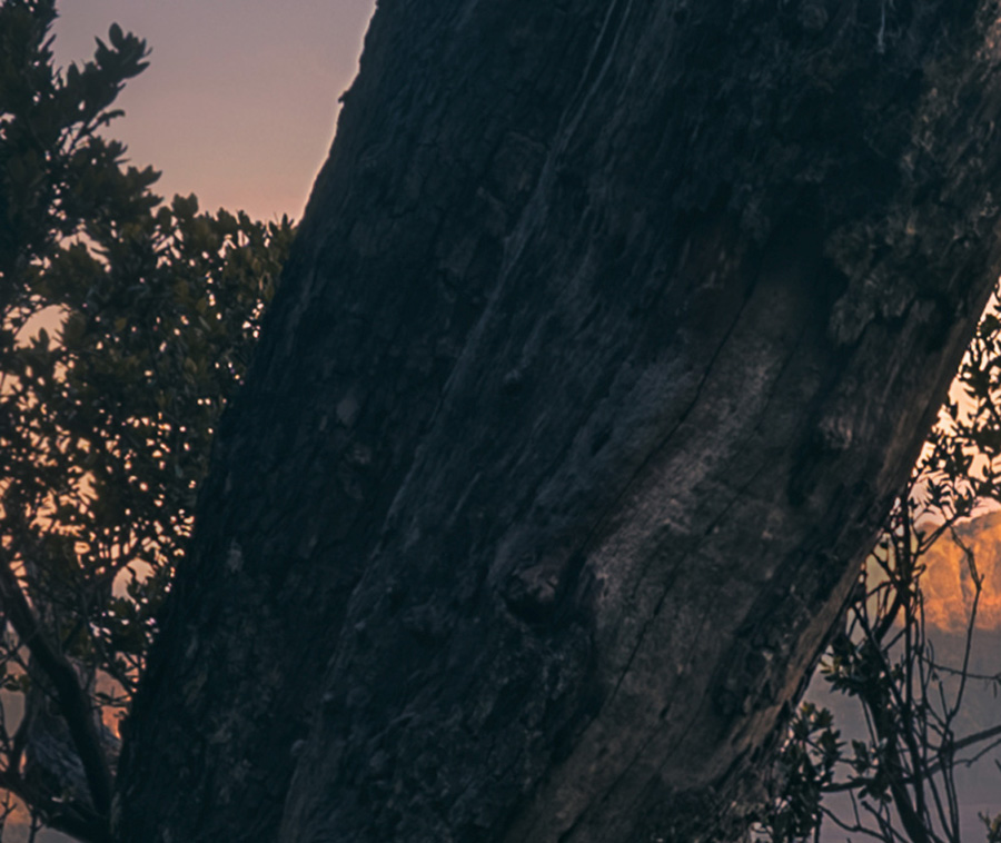 PhotoshopԔ�������D�ӻ��ģʽȫ�v��