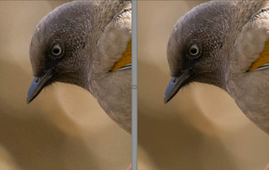 Photoshop降噪濾鏡Nik Dfine2的使用教程