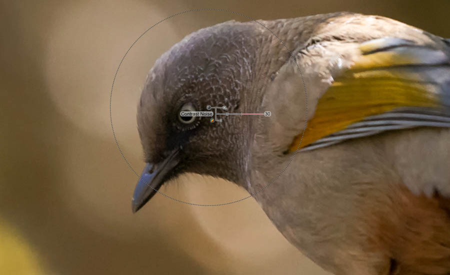 Photoshop����V�RNik Dfine2��ʹ�ý̳�